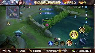 08天才打野 帮打上车有位置