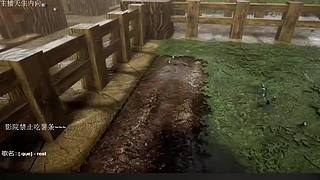 电影级画质，失眠者福音~