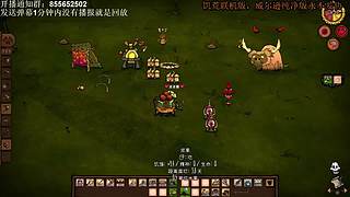 今晚饥荒甜蜜双排