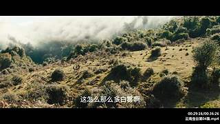 胡八一 ：胖子促发剧情