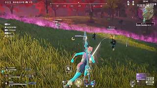 阿度国洛洛公主游塔记