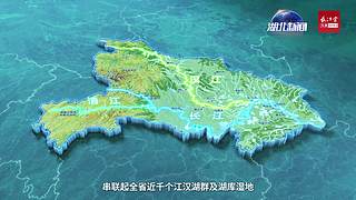 惠影湖北乐享生活-惠民观影活动发布仪式