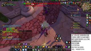 办卡看号 论剑 雨林萌新攻略