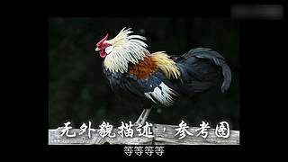 起来啦小躺的直播间