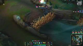 我是丶二哈的直播间