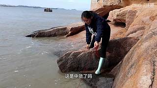 渔妹带你来赶海，来看有没有你没见过的