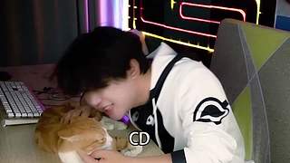 【多巴安工作室】日常生活搞笑，一起欢乐