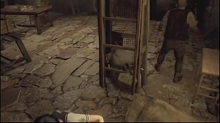 播个王阿姨的DLC