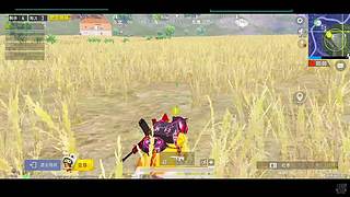 带人上分啊啊啊