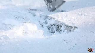 来来嗨嗨嗨
来来来