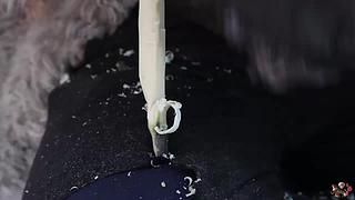 来来嗨嗨嗨
来来来