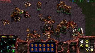 暴风虫族Ameba教你玩转星际争霸I