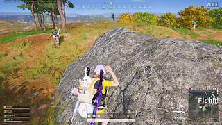 【新人主播】 68936