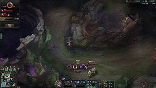 小新的直播间 8239601