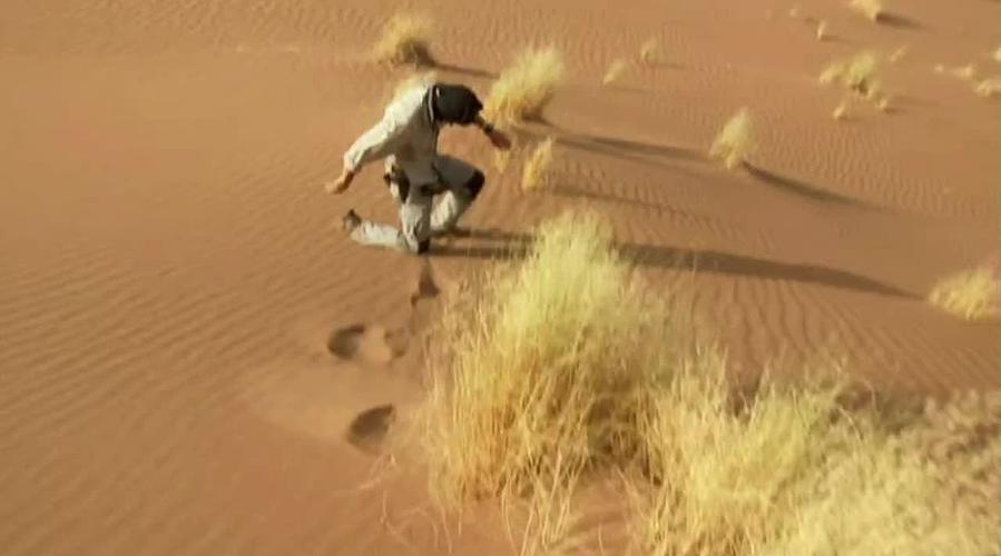 荒野求生，带大家体验不一样的生活