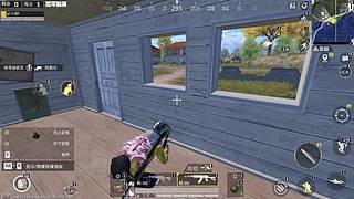 新版本稳健上分