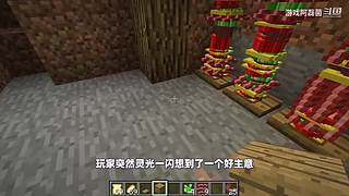 我的世界生存实况解说