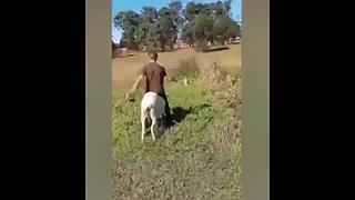 【亚巴拉辛巴】搞笑+游戏