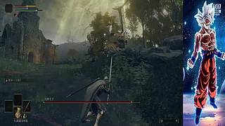 八蛋陪伴，搞笑不断