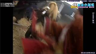 【冰冰冰冰】2026平安顺遂~~~