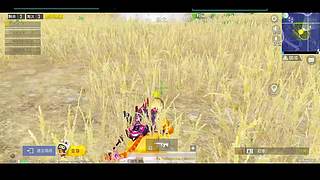 带人上分啊啊啊