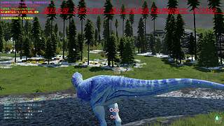 内向表妹的直播间