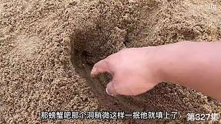 大齐赶海，又是出大货的一天