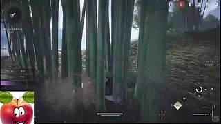 新人主播求关注 446880