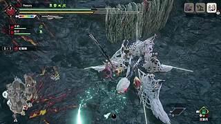 猫五度的四个神选气息