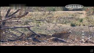 [大自然纪录片]24小时轮播