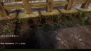 电影级画质，失眠者福音~