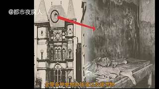 扑朔迷离的案件里隐藏着什么？