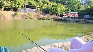 睡醒了播~12/459鱼.