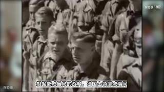 《探奇录-案件篇》