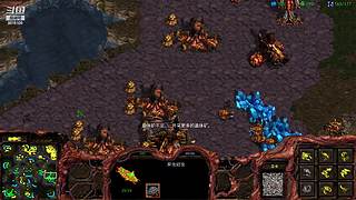 暴风虫族Ameba教你玩转星际争霸I