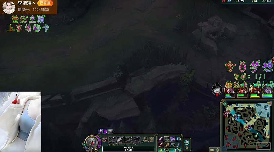 欢迎来到德莱联盟！臭宝~