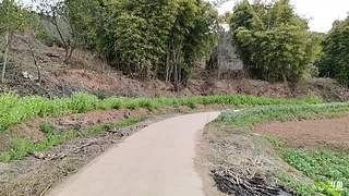 新年快乐，马到成功！