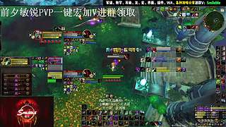 盗贼PVP 2400 攻略分享