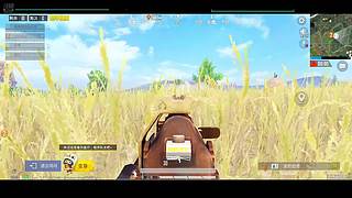 带人上分啊啊啊