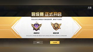 新主播 安卓帮打号