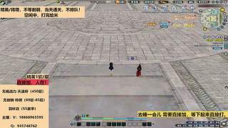 无视战力天波府450层精英/将领85毕业