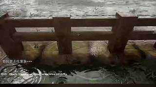 电影级画质，失眠者福音~