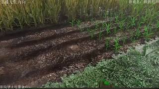 电影级画质，失眠者福音~