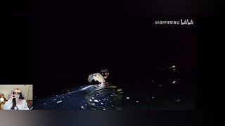 ❤️猪皮冻化咯~