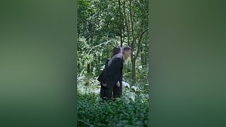 除夕快乐，今天不在哦