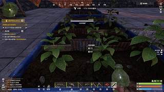 阿伟直播间 7644788