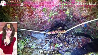 2026对我好一点，白一点，球球了OvO