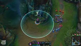 摸摸鱼随便玩玩