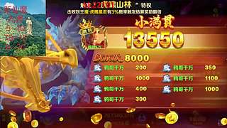 新仙魔九界丹丹的直播间