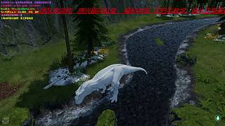 内向表妹的直播间